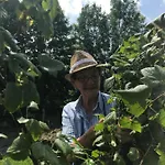 Garni Wieshof 3* キルヒベルク・イン・チロル