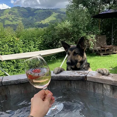 Garni Wieshof Hotel Kirchberg in Tirol