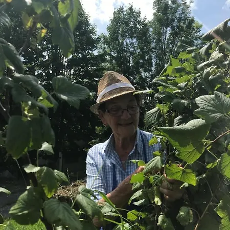 Garni Wieshof 3* Kirchberg in Tirol