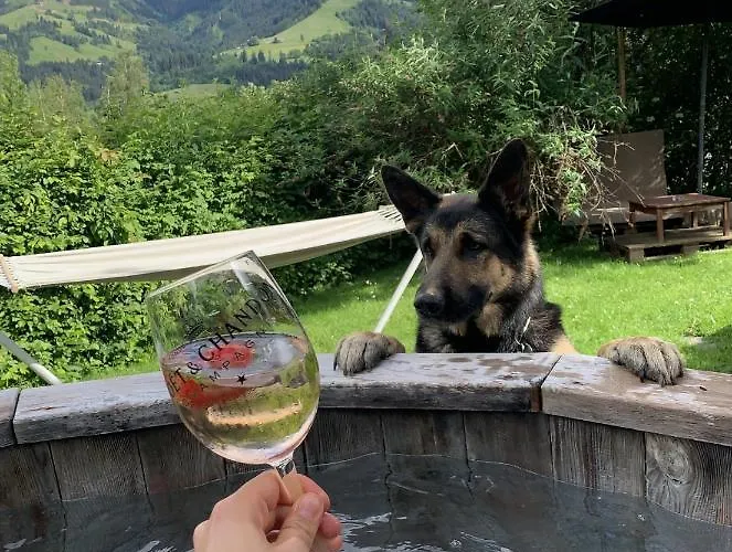 Garni Wieshof Hotel Kirchberg in Tirol