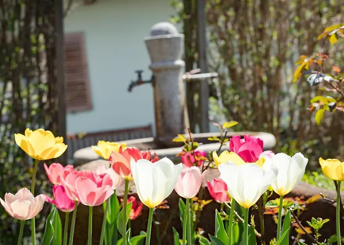 Hotel Garni Wieshof 3*