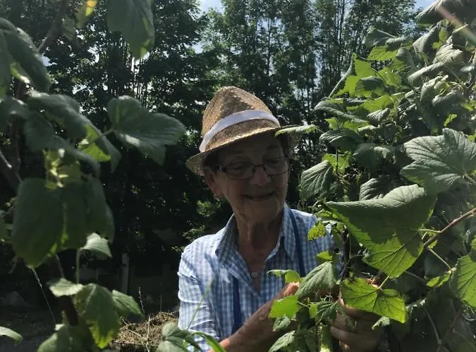 Garni Wieshof 3* Kirchberg in Tirol