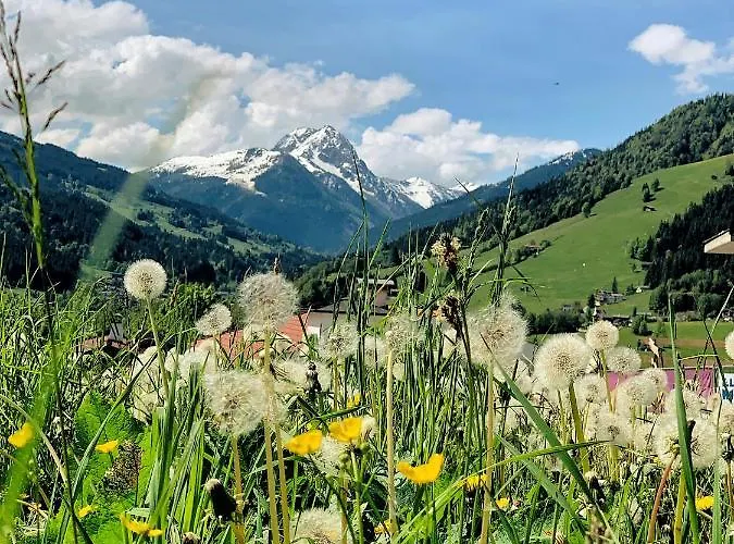 Hotel Garni Wieshof 3*