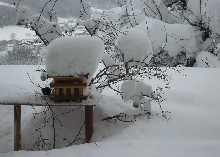 Hotel Garni Wieshof Kirchberg in Tirol