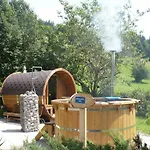 Garni Wieshof كيرشبرغ ان تيرول