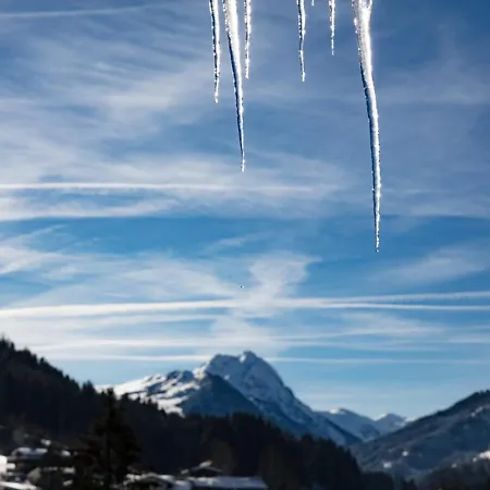 Hotel Garni Wieshof Kirchberg en Tyrol